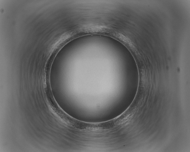 X0000065970582200603101359