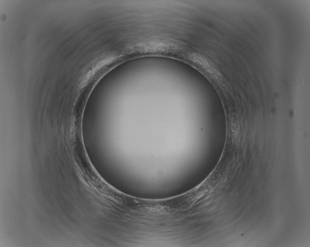 X0000065970583200603101359