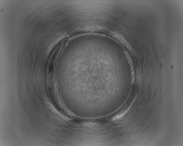 X0000065970585200603101359