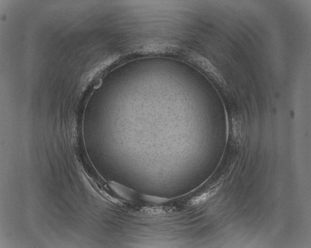 X0000065970588200603101359