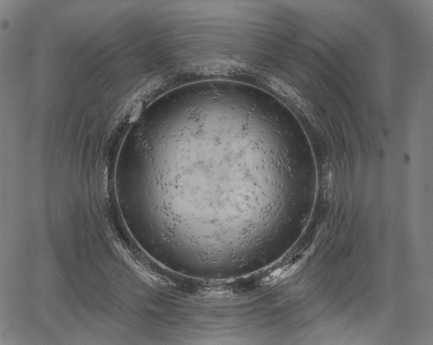 X0000065970589200603101359