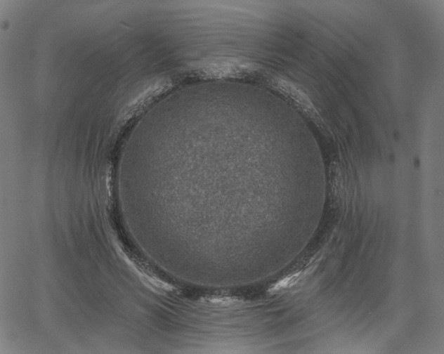 X0000065970590200603101359