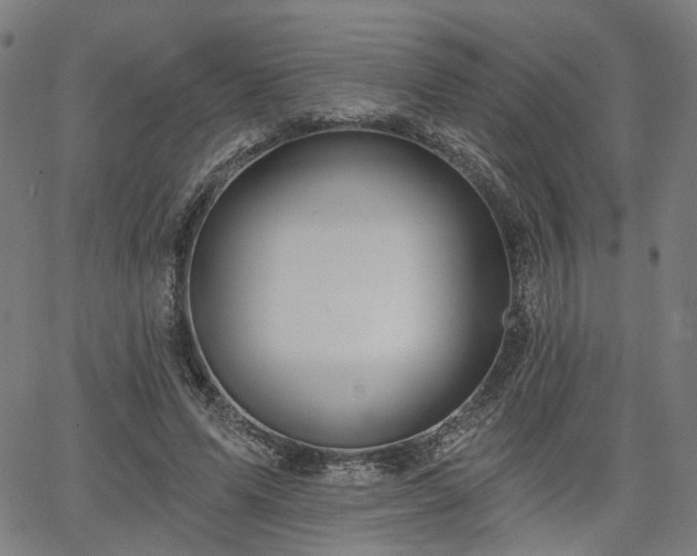 X0000065970591200603101359