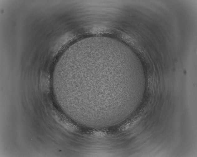 X0000065970592200603101359