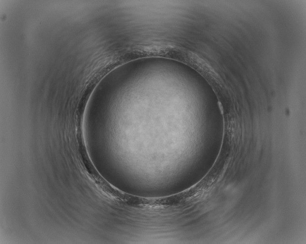 X0000065970593200603101359