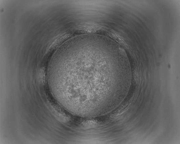 X0000065970594200603101359