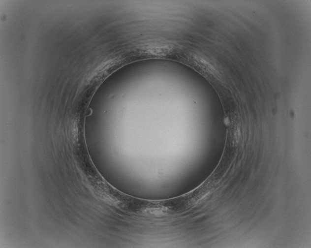 X0000065970595200603101359