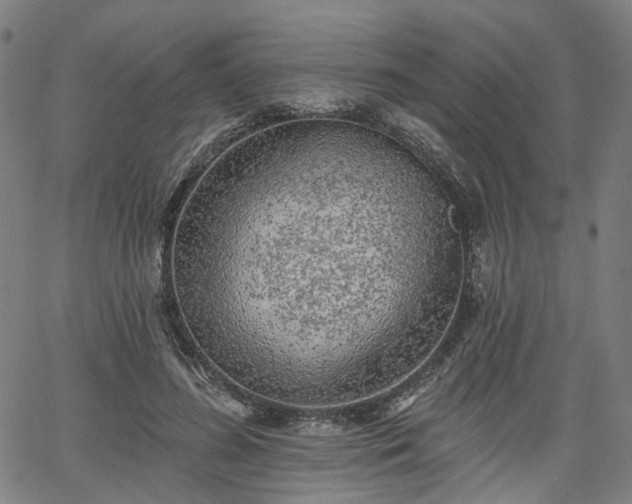 X0000065970596200603101359