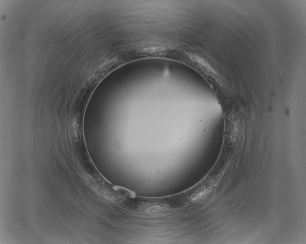 X0000065970597200603101359