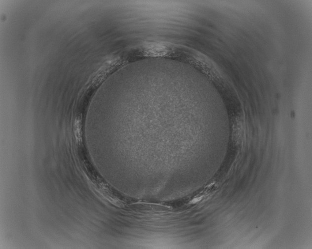 X0000065970598200603101359