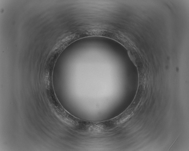 X0000065970599200603101359