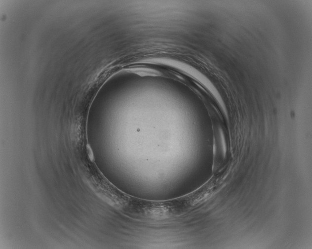 X0000065970600200603101359