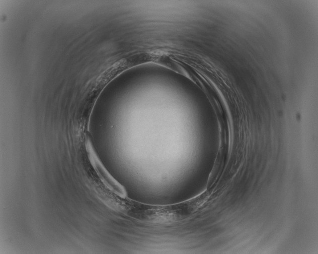 X0000065970601200603101359