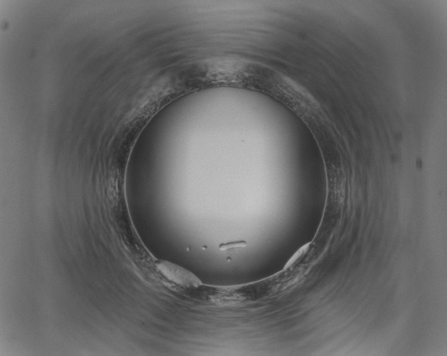 X0000065970603200603101359