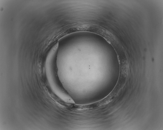 X0000065970604200603101359