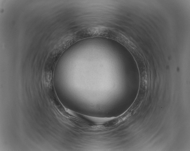 X0000065970605200603101359