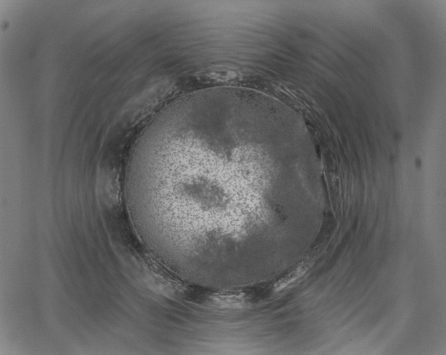 X0000065970606200603101359