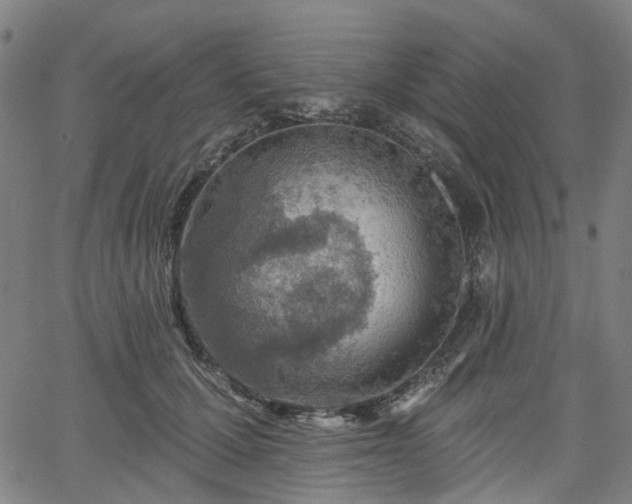 X0000065970607200603101359