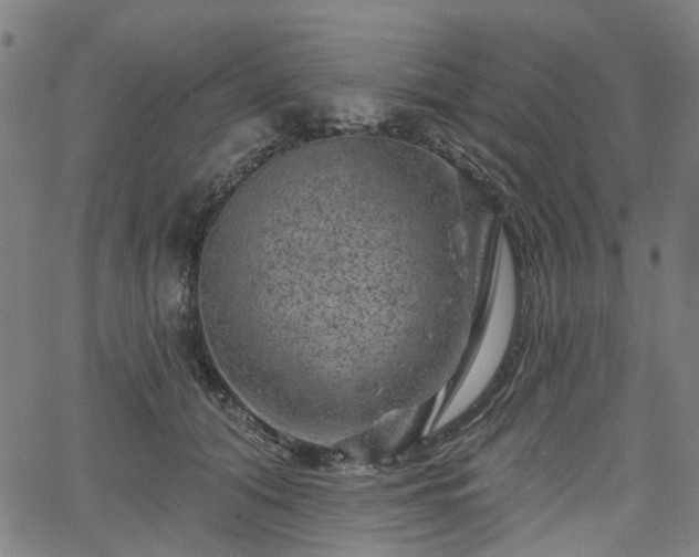 X0000065970608200603101359