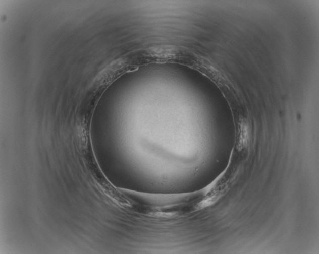 X0000065970609200603101359