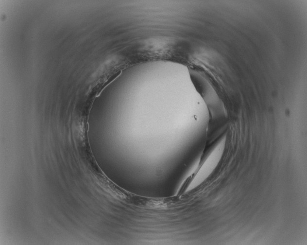 X0000065970613200603101359