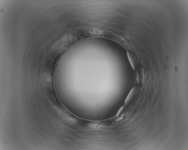 X0000065970614200603101359