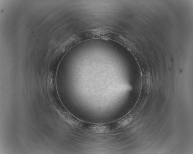 X0000065970615200603101359