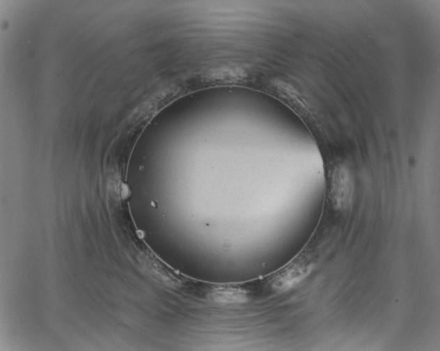 X0000065970617200603101359