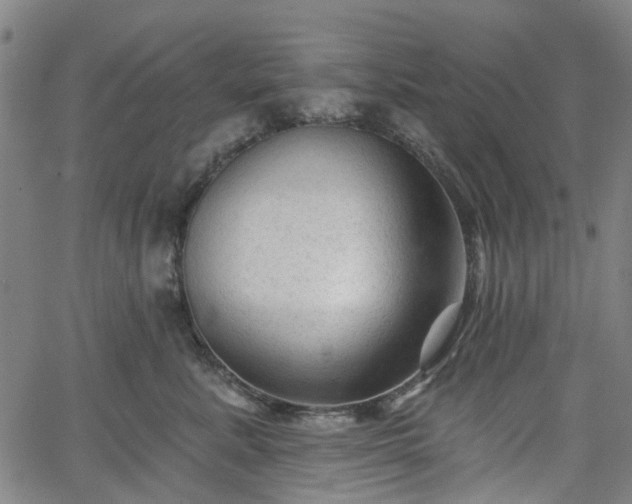 X0000065970619200603101359