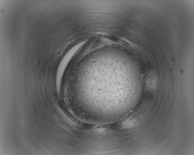 X0000065970620200603101359