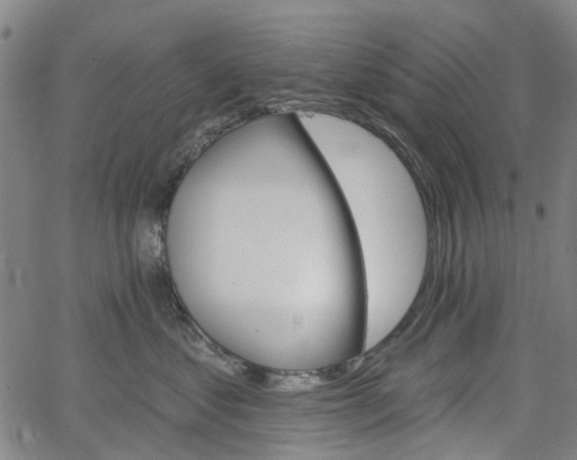 X0000065970621200603101359