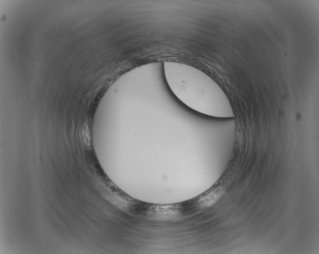 X0000065970622200603101359