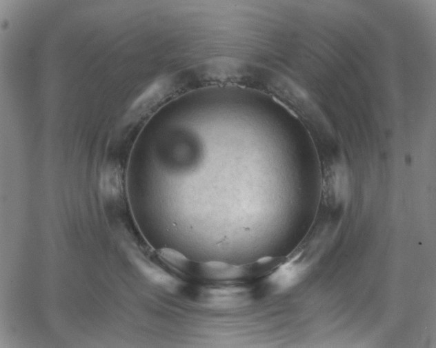 X0000065970623200603101359