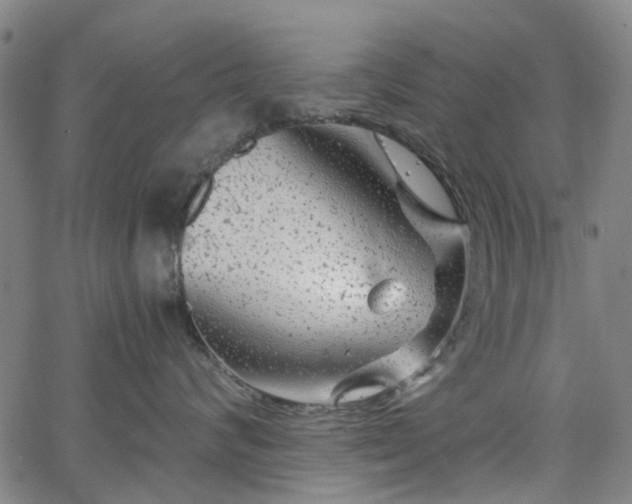 X0000065970624200603101359