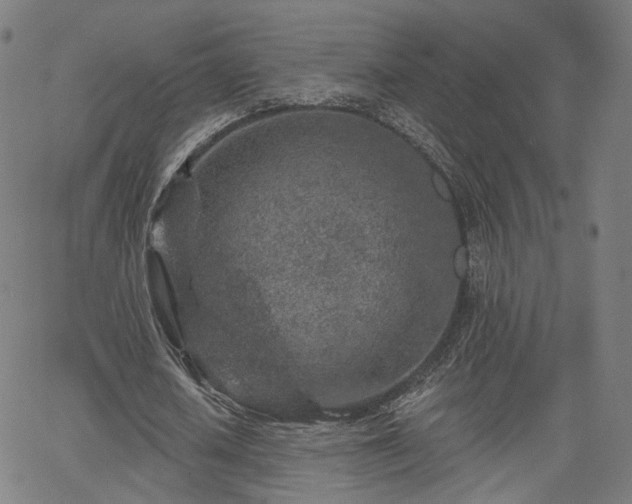 X0000065970626200603101358