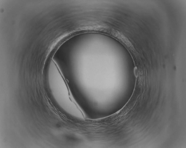 X0000065970628200603101358