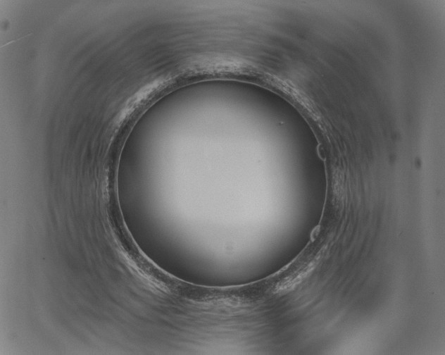 X0000065970629200603101358