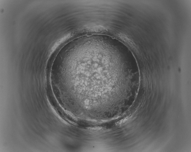 X0000065970630200603101358