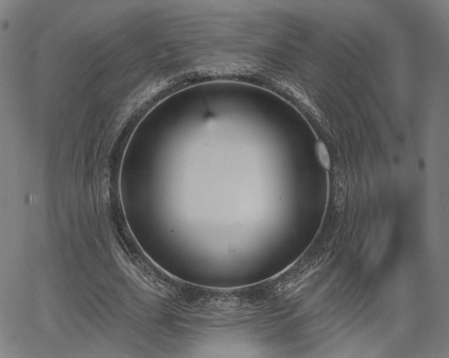 X0000065970631200603101358