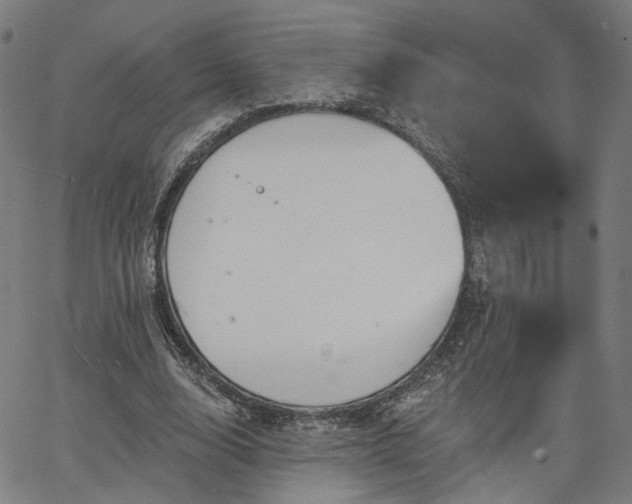 X0000065970632200603101358