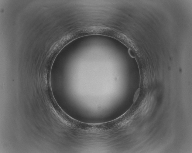 X0000065970633200603101358