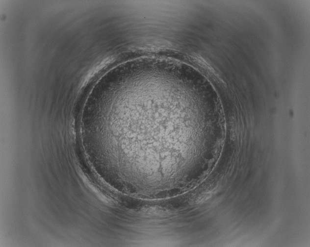 X0000065970634200603101358