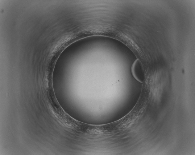 X0000065970635200603101358