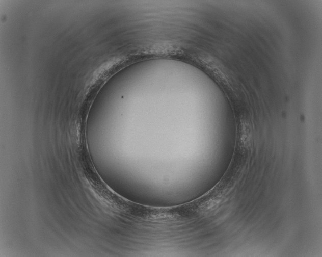 X0000065970636200603101358