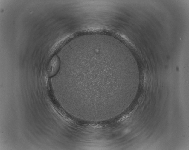 X0000065970640200603101358