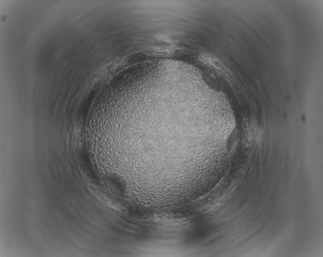 X0000065970641200603101358