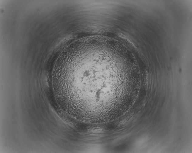 X0000065970643200603101358