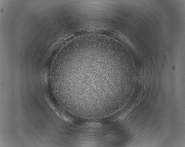 X0000065970644200603101358