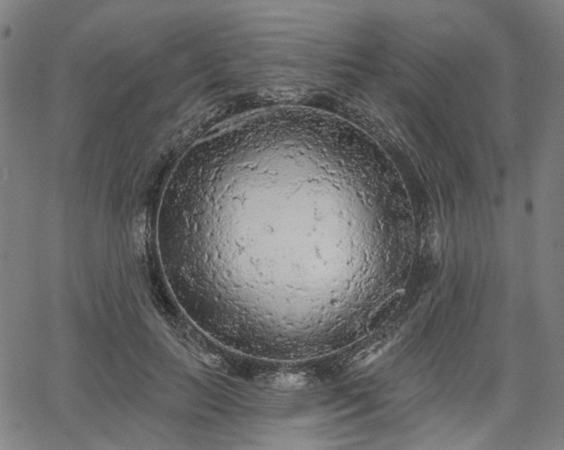 X0000065970647200603101358