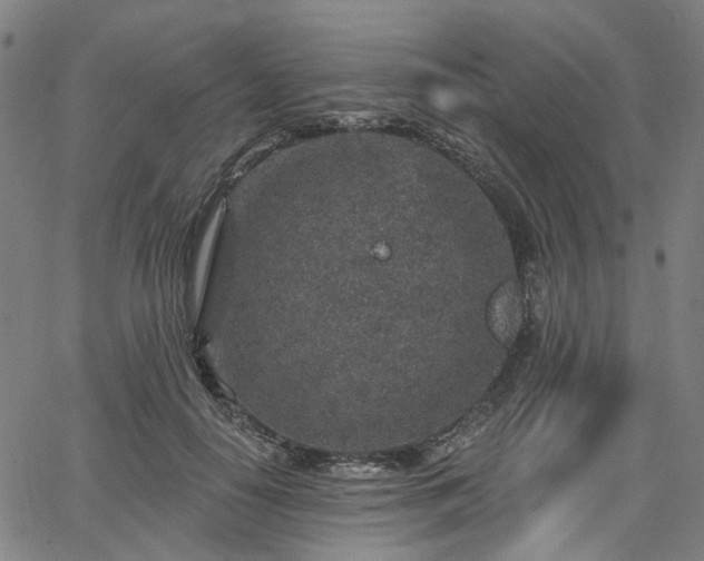 X0000065970650200603101358